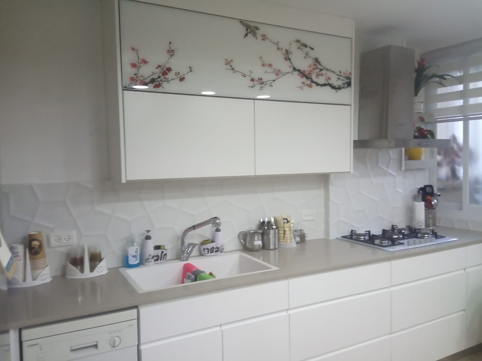 פרוייקטים מגוונים